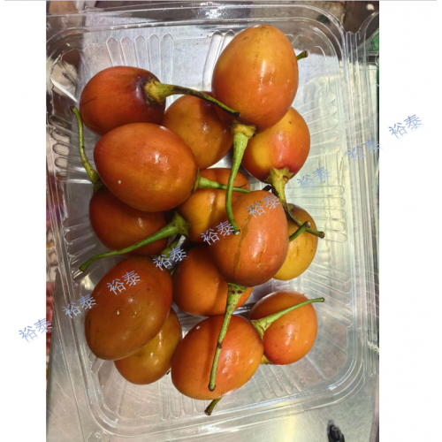 樹上茄